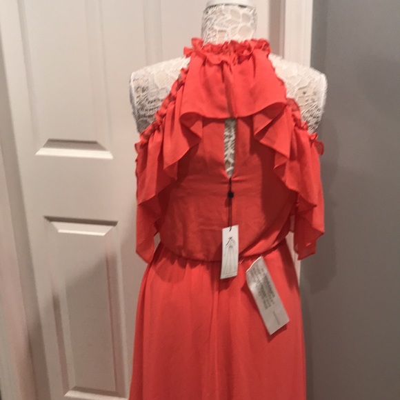 Brand new BCBG Maxazria Maxi gown - Picture 7 of 12